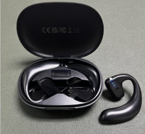 Smart Translation Bluetooth Earbuds